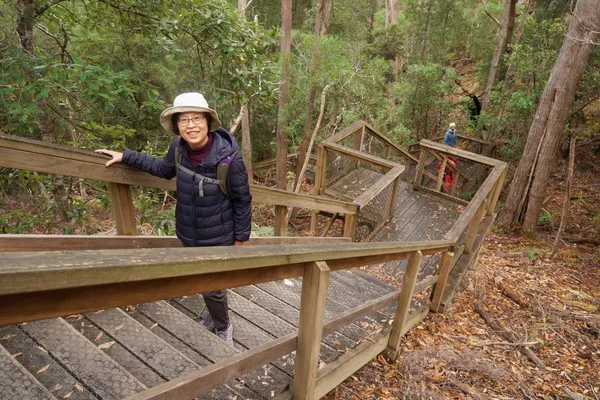 Wooden steps (2)