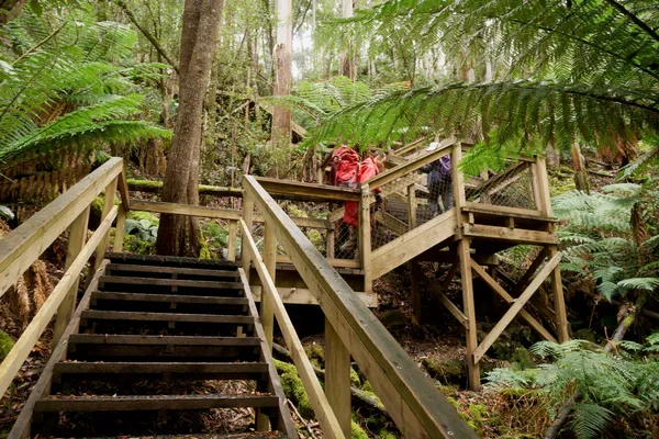 Wooden steps