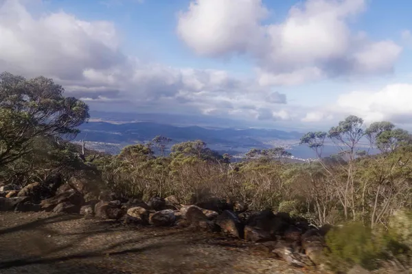 kunanyi Mt Wellington (19)