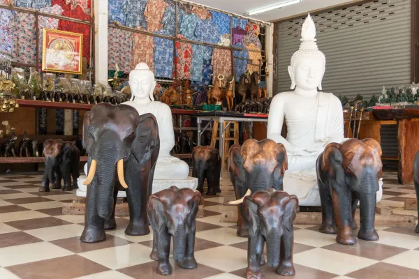 01_Elephants