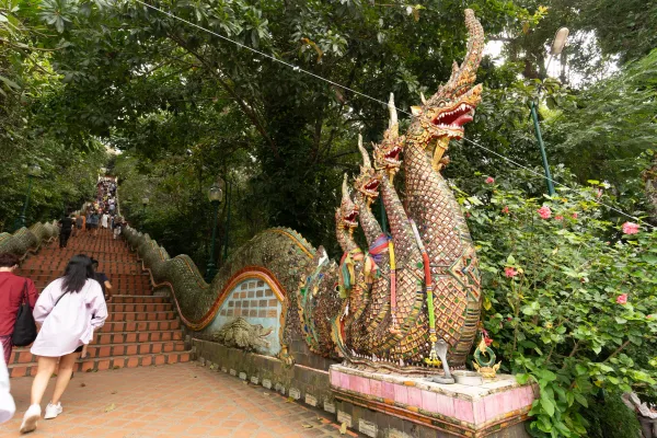 026_Dragon