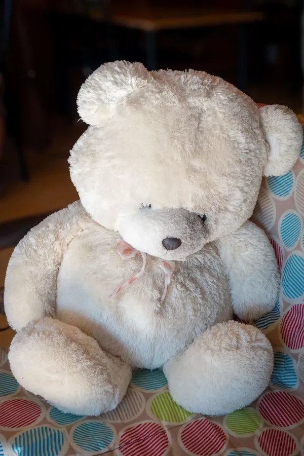 05_Teddy