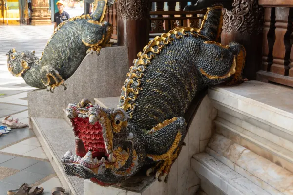 067_Dragons