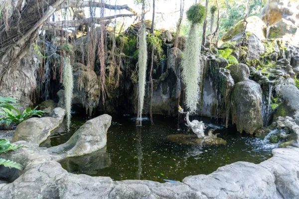 074_Pond