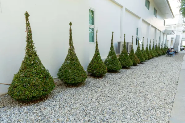075_Topiary