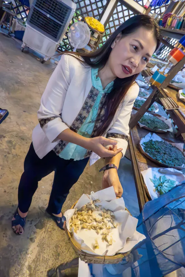 09_Silkworms