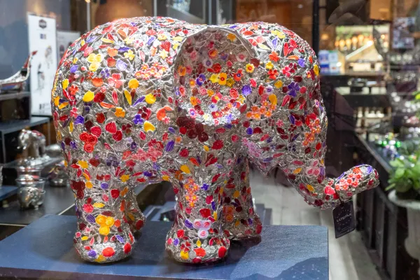 24_Elephant