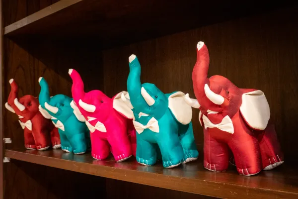 27_Elephants
